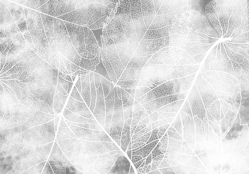 Fototapeta - Natura w moim domu - trzeci wariant