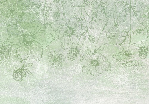 Fototapeta - Kwiecista łąka - natura z polnymi kwiatami lineart na zielonym tle