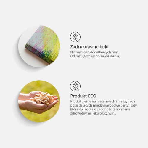 Obraz na korku - Mapa świata: Kolorowe szaleństwo [Mapa korkowa]