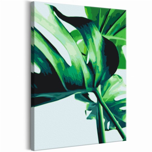Obraz do samodzielnego malowania - Monstera Adansona