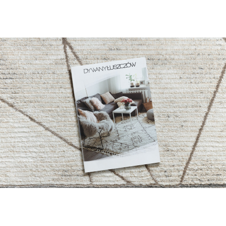 dywan-bliss-z201az128-krem-bez-ramka-geometryczny-nowoczesny-strukturalny-