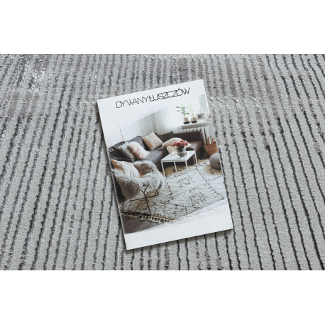 dywan-bliss-z206az256-jasnoszary-szary-linie-nowoczesny-strukturalny-