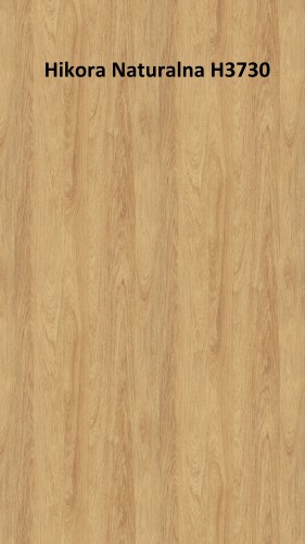 H3730 ST10 Hikora naturalna..jpg