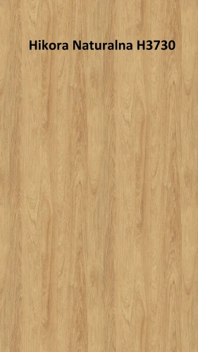 H3730 ST10 Hikora naturalna. — kopia.jpg